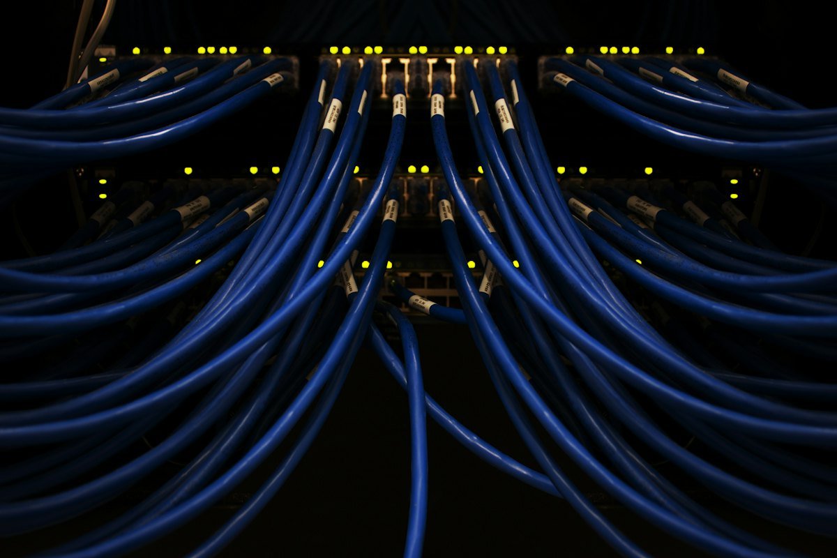 Blue network cables bundled together